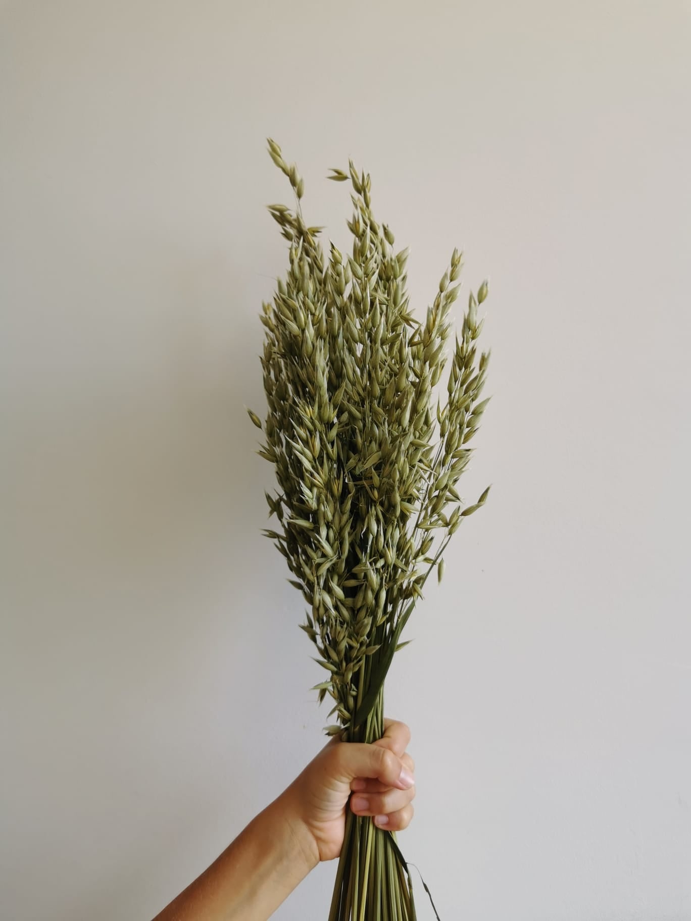 Sprigs of Moss