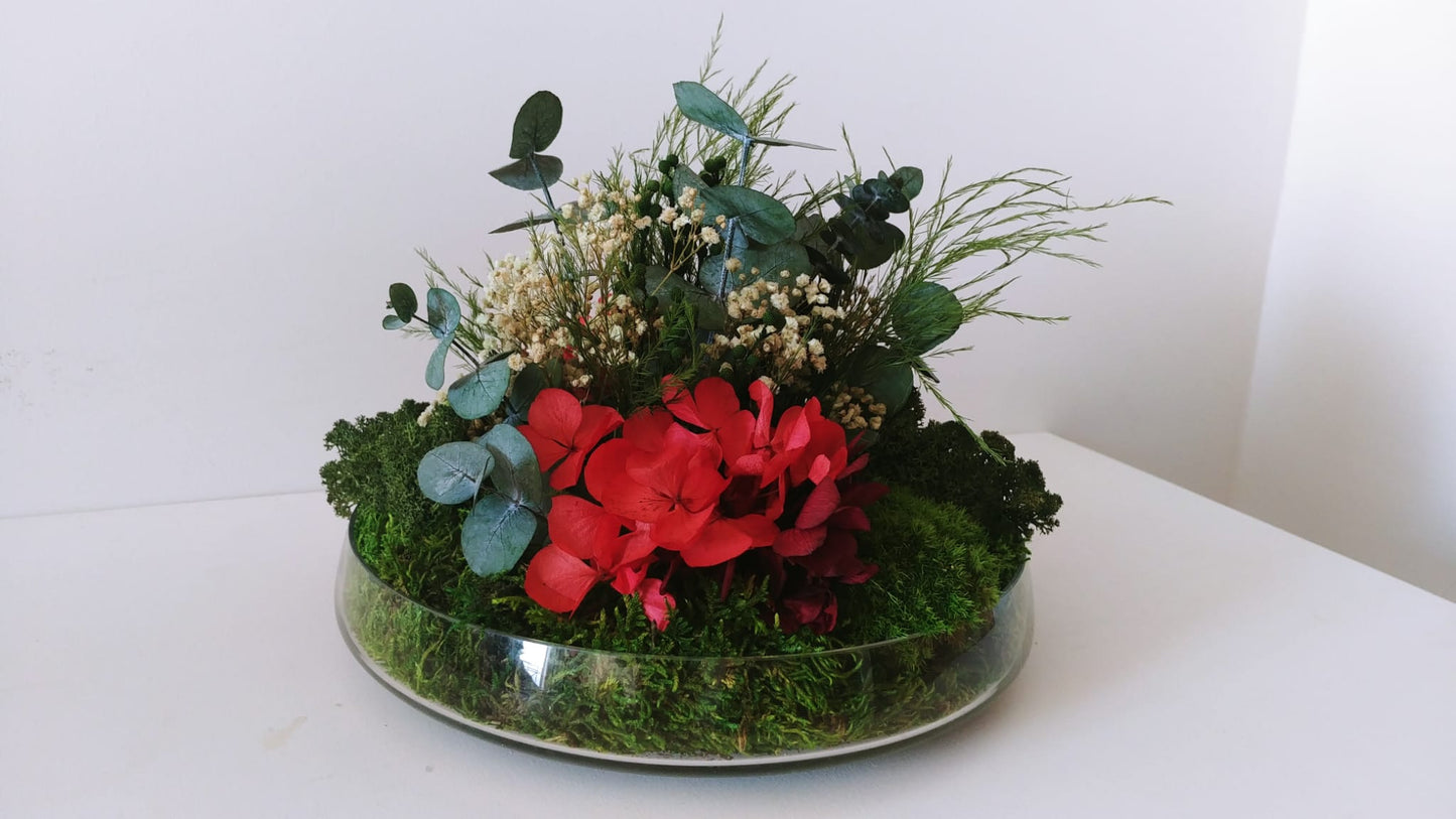 Taller Centro Nature. 24 Enero