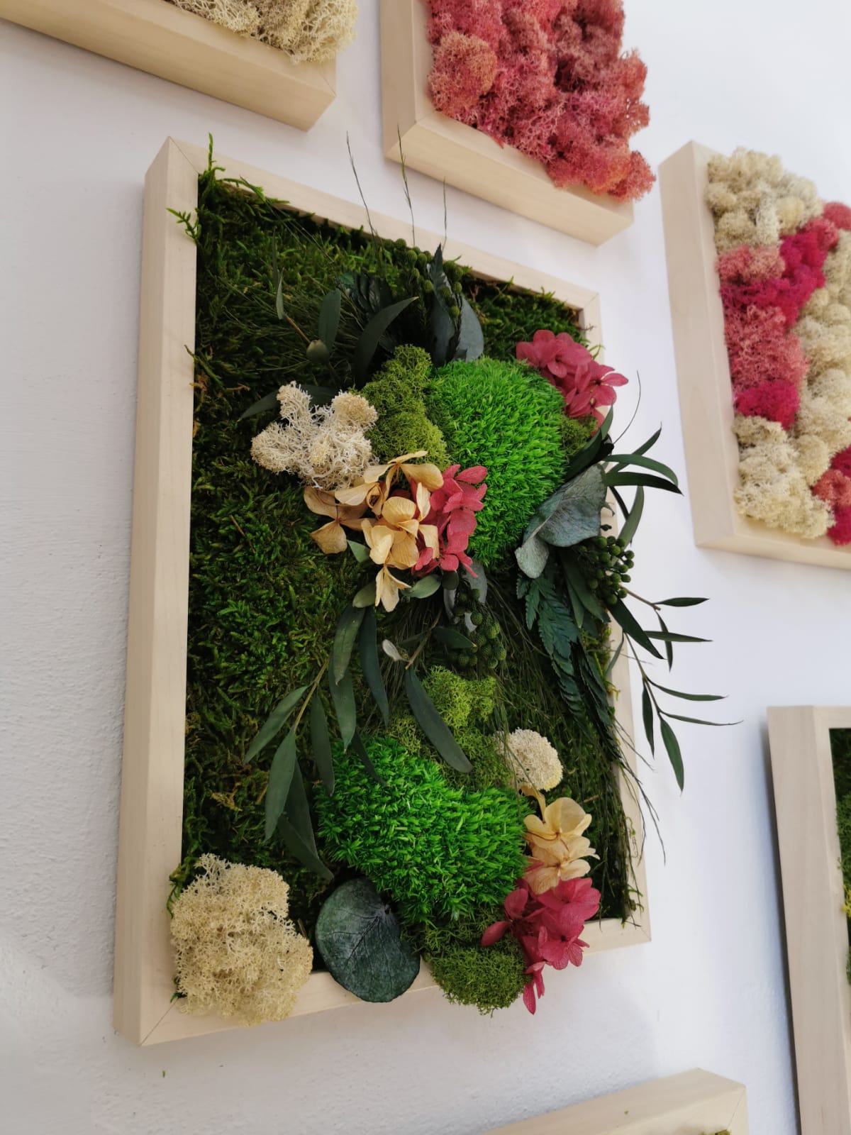 Nature Hydrangeas