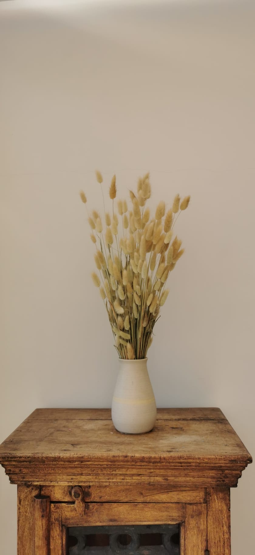 Sprigs of Moss