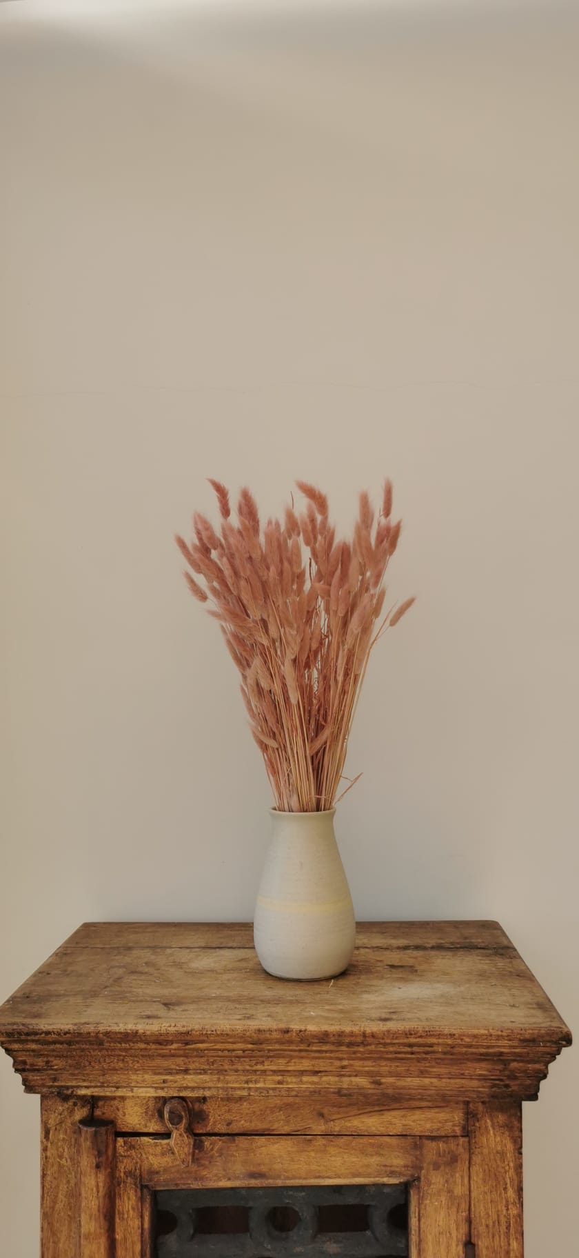 Sprigs of Moss