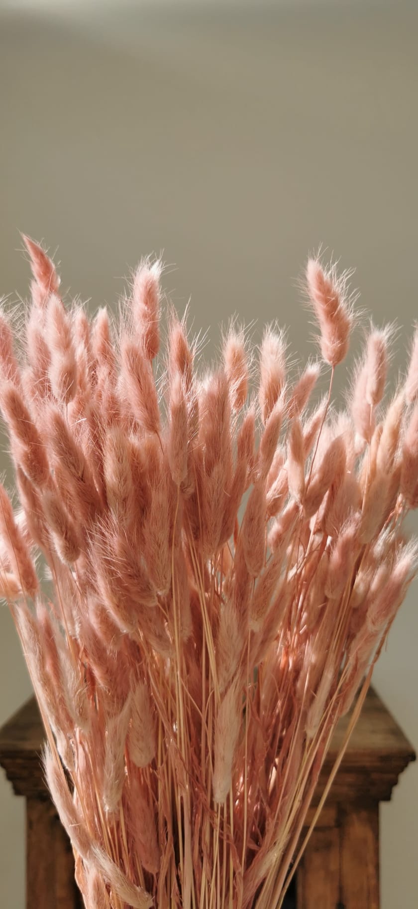 Sprigs of Moss