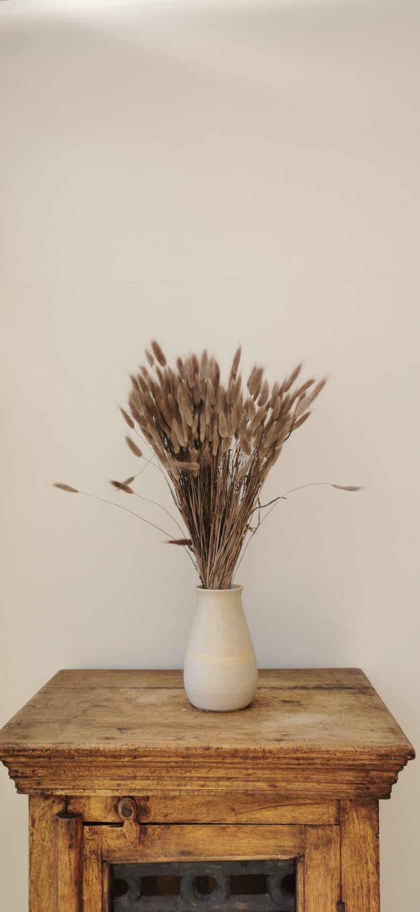 Sprigs of Moss