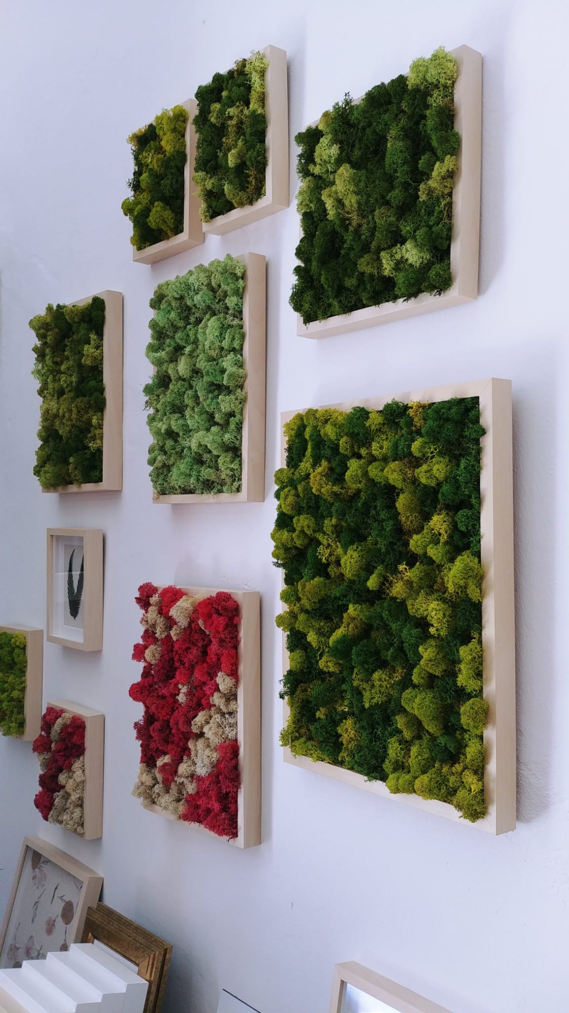 Nature Lichens