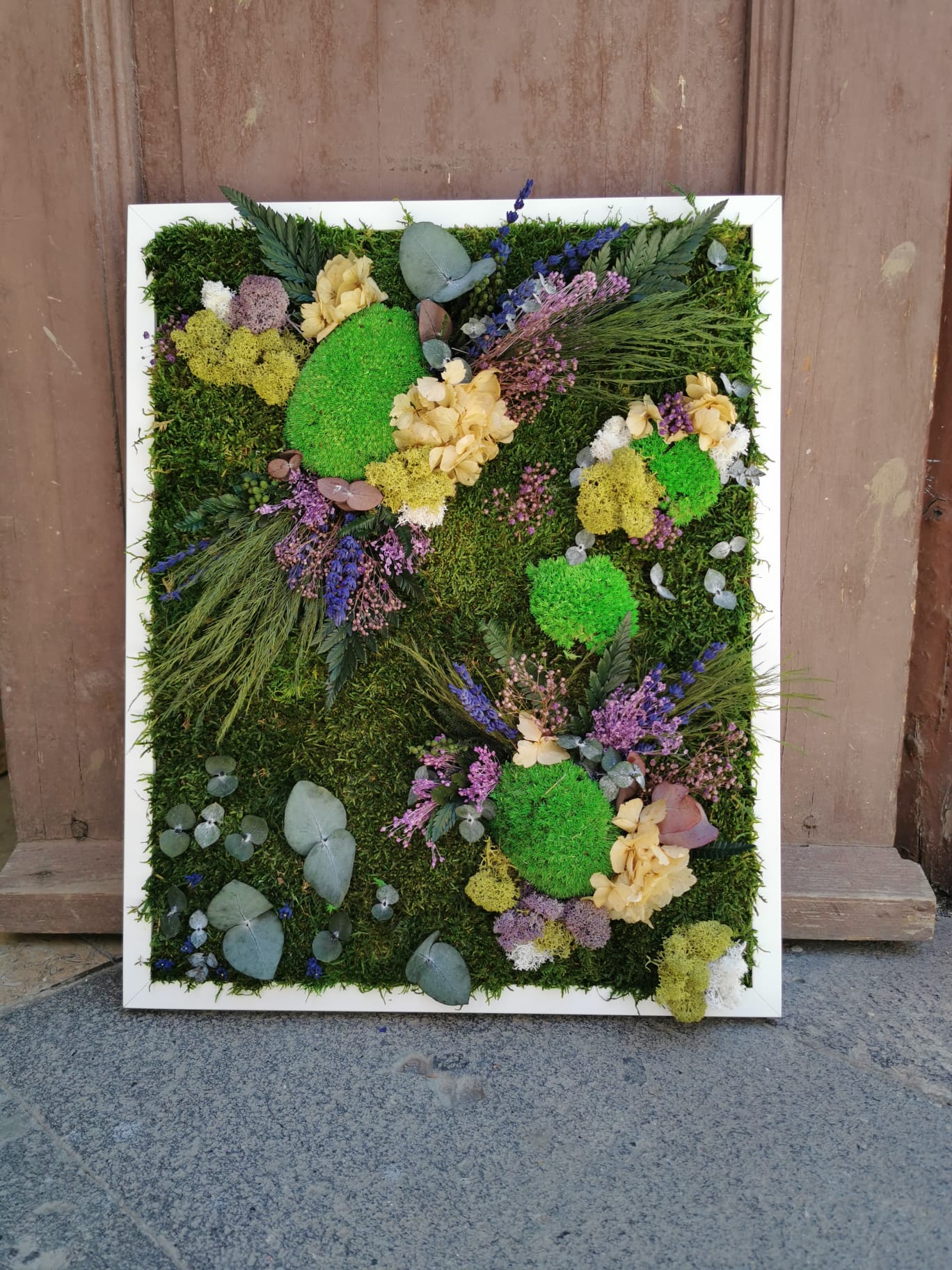 Nature Hydrangeas