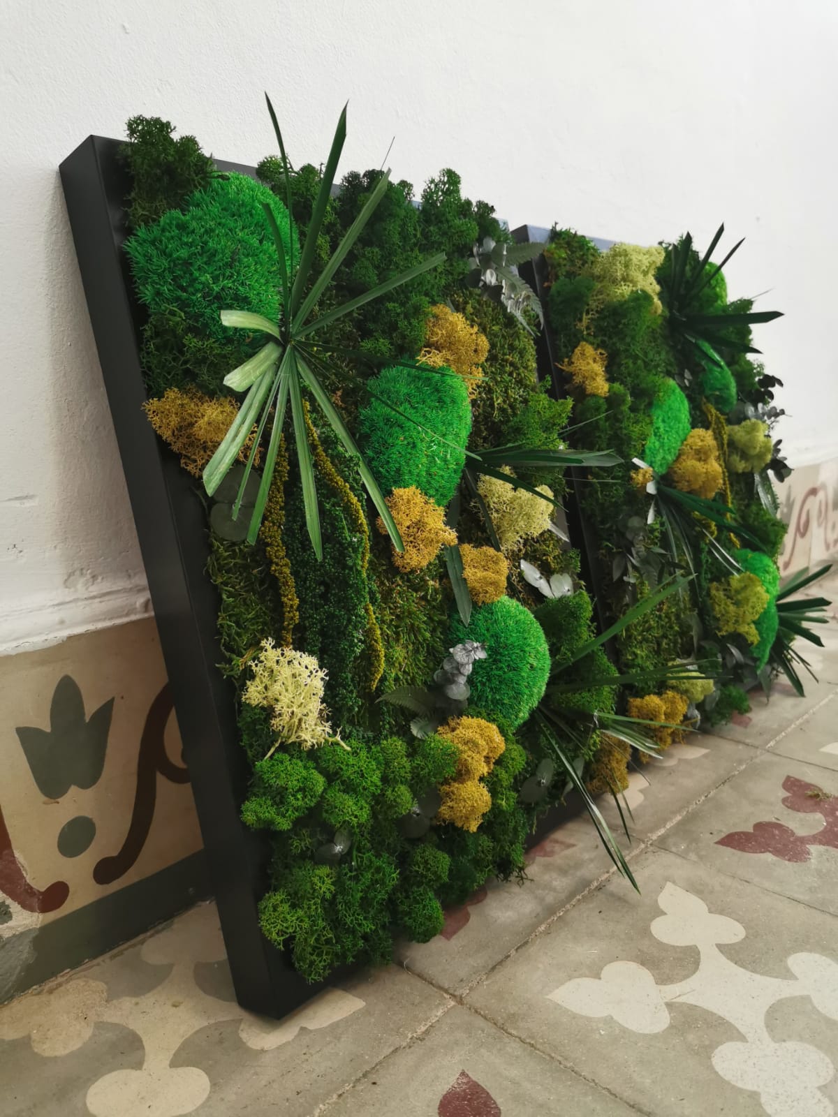 Nature Palm