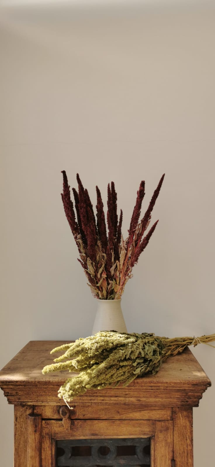 Amaranthus