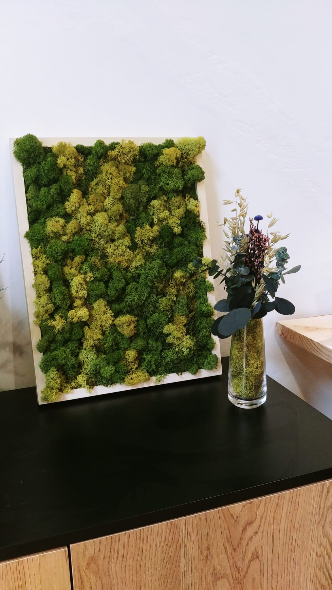 Nature Lichens