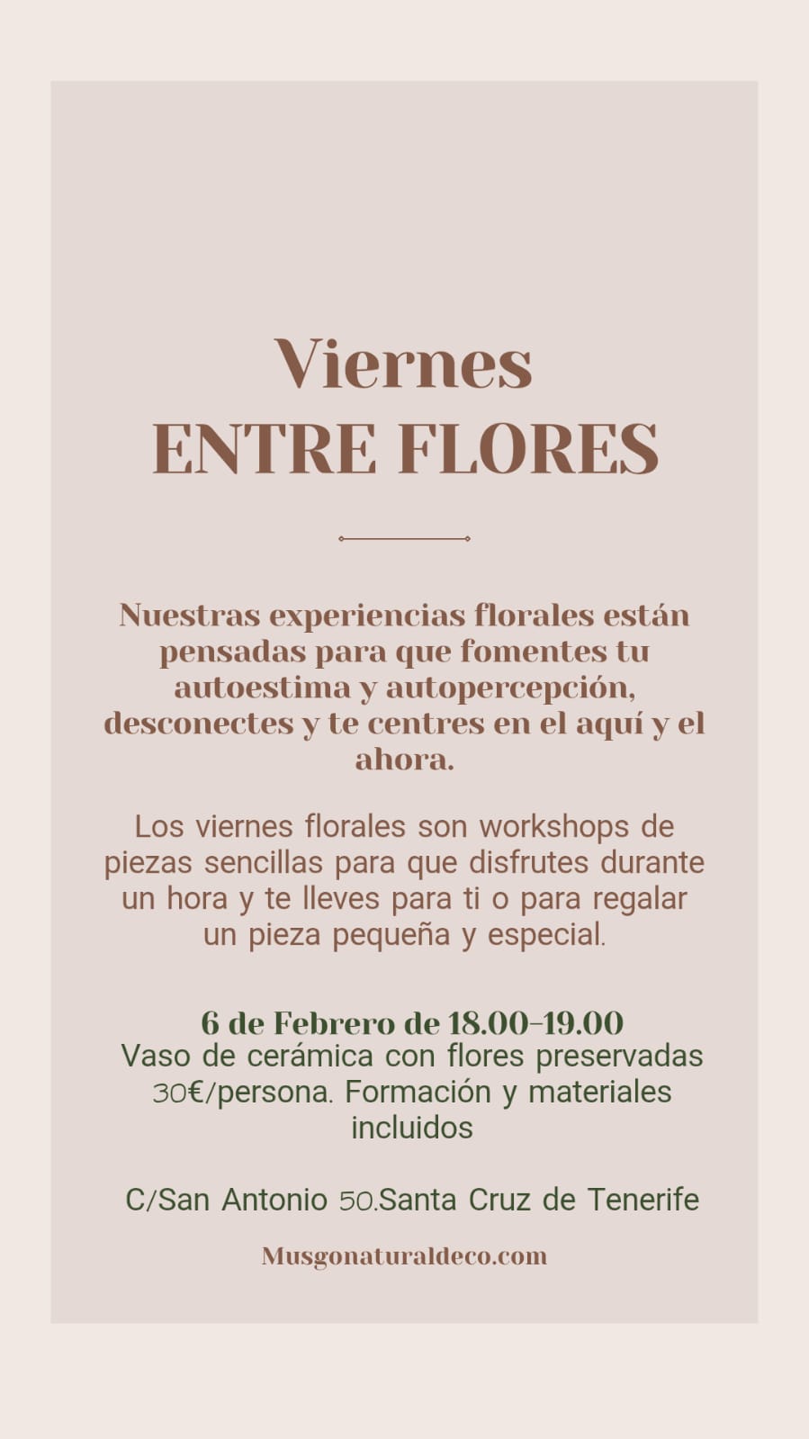 Viernes Floral. Flores preservadas en vaso de cerámica 6 FEB