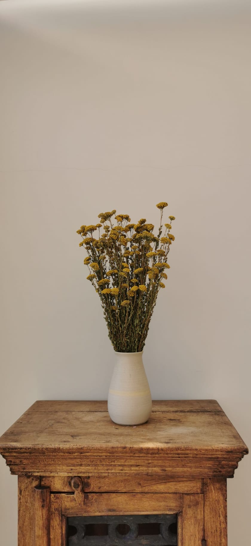 Sprigs of Moss