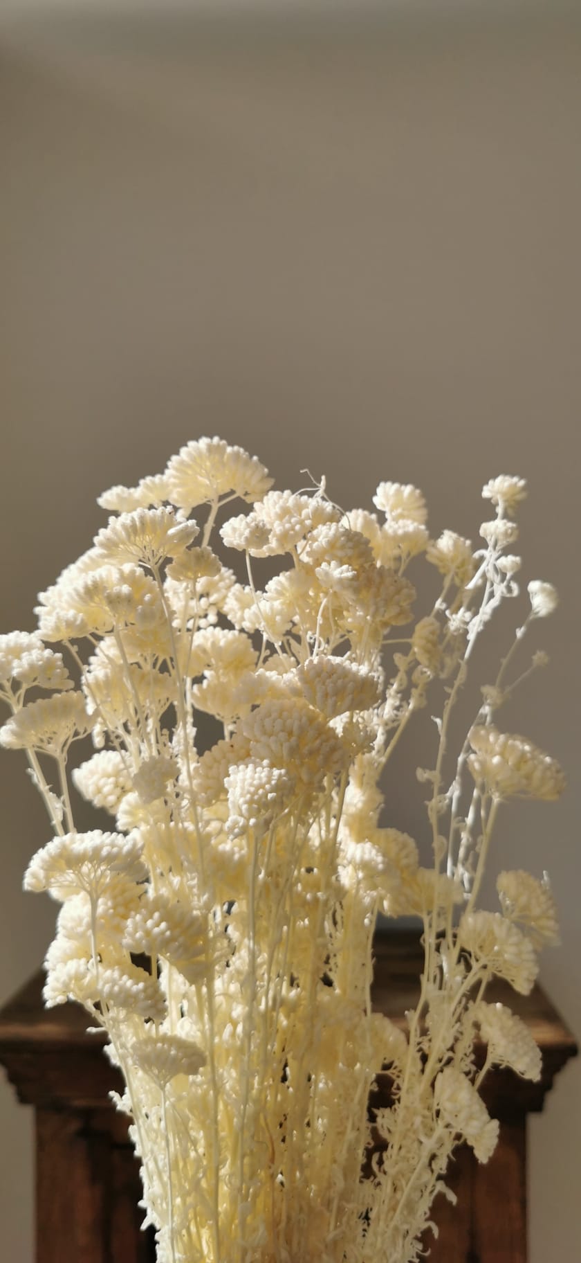Sprigs of Moss