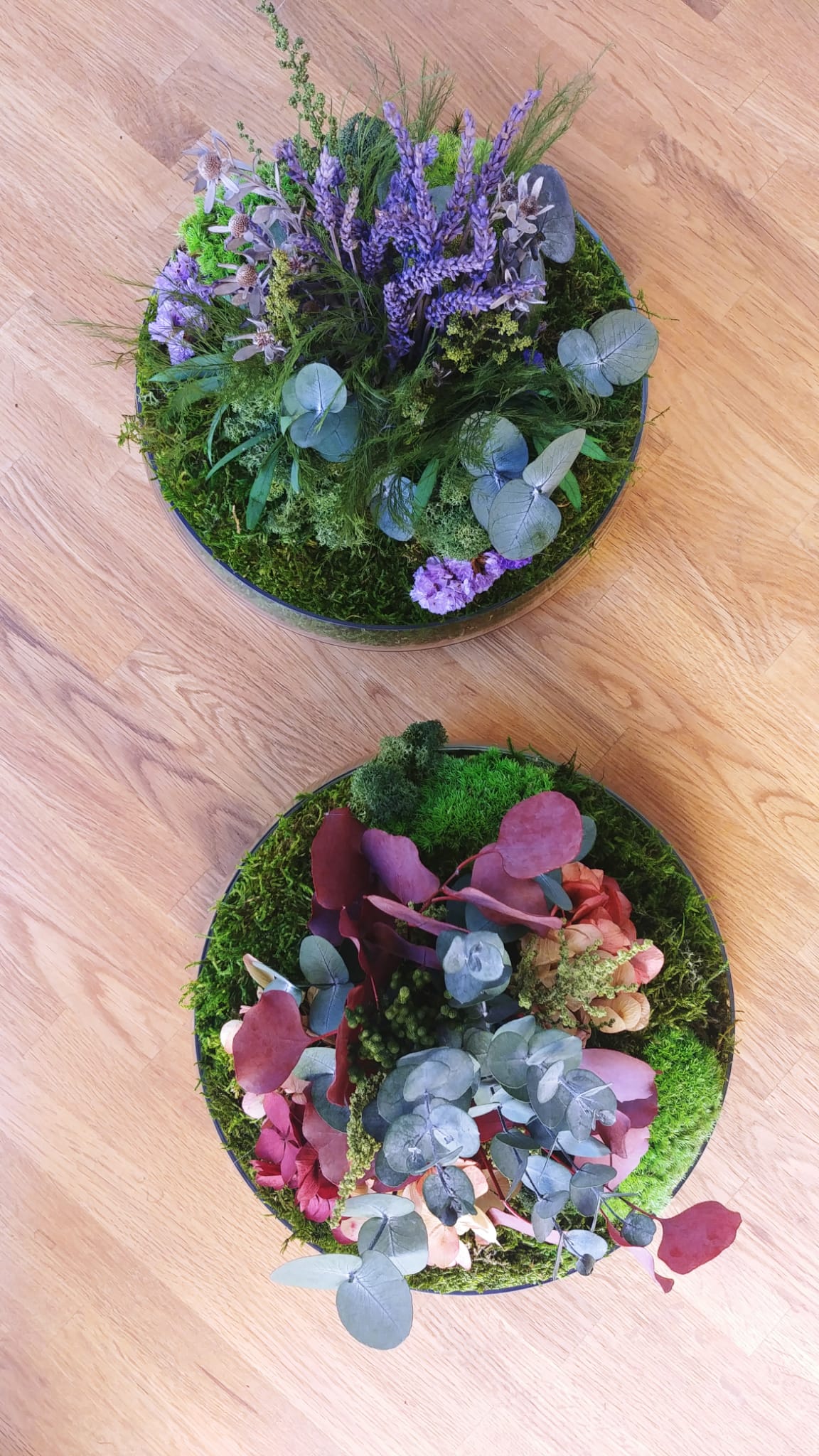 Taller Centro Nature.    24 Enero