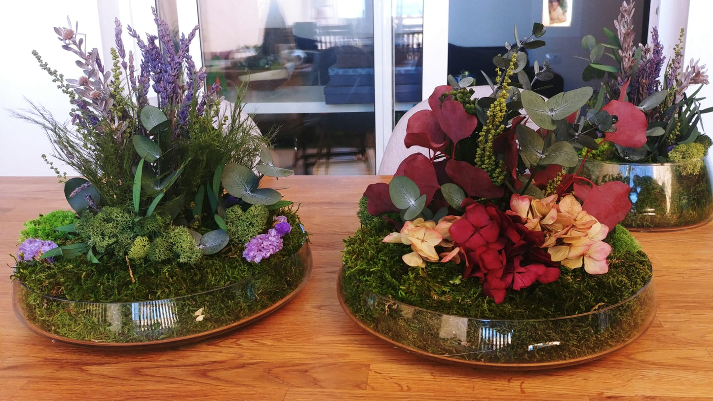 Taller Centro Nature.    24 Enero