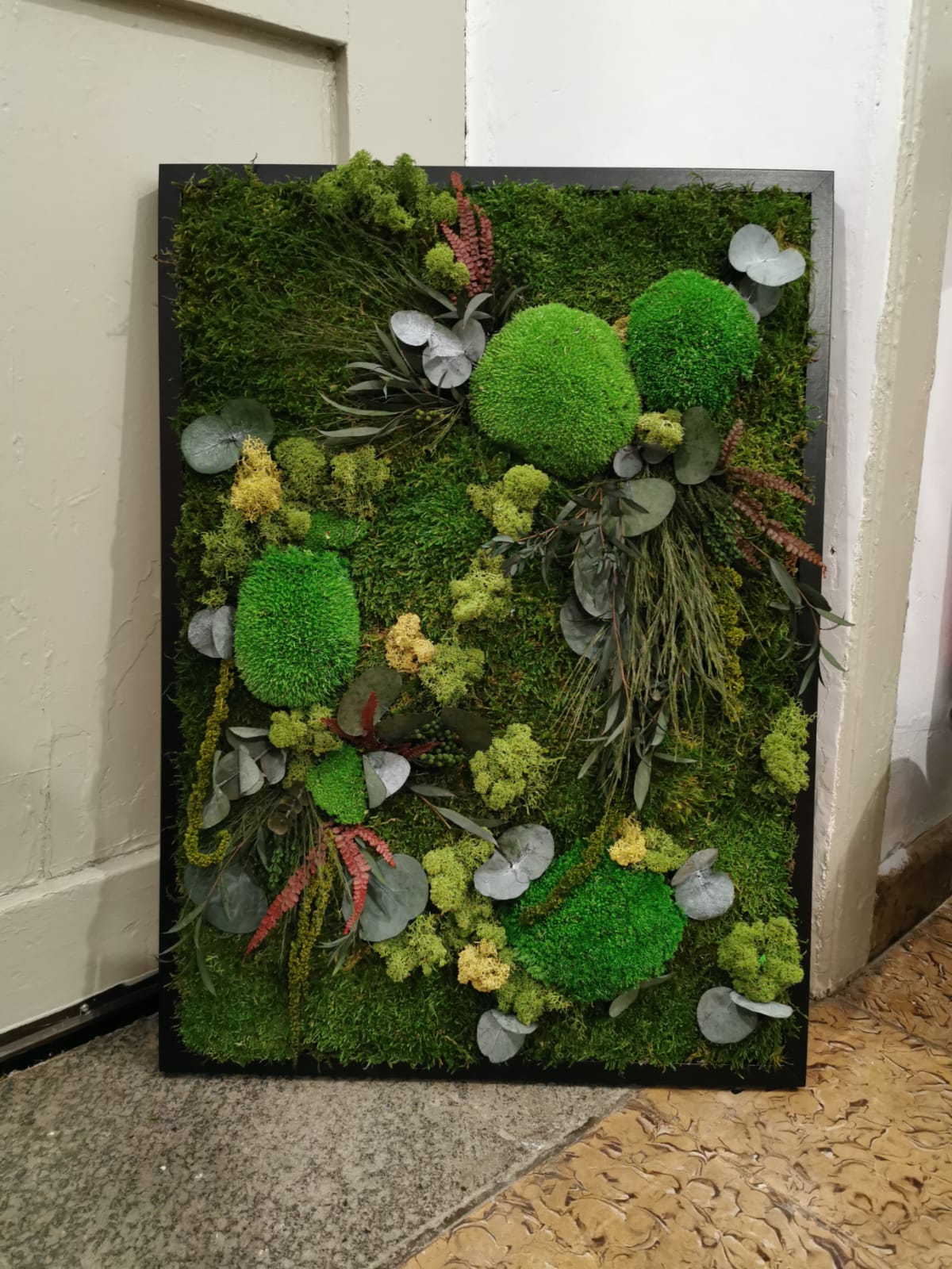 Nature Forest