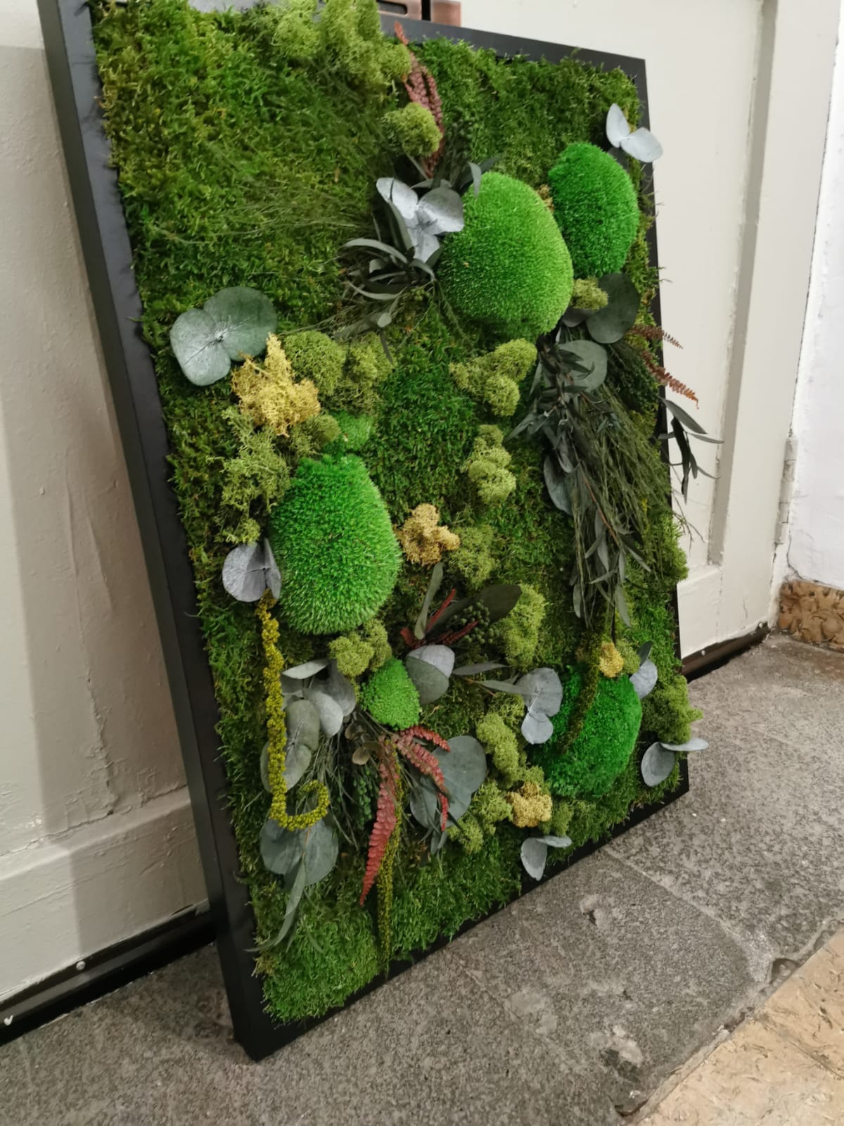 Nature Forest