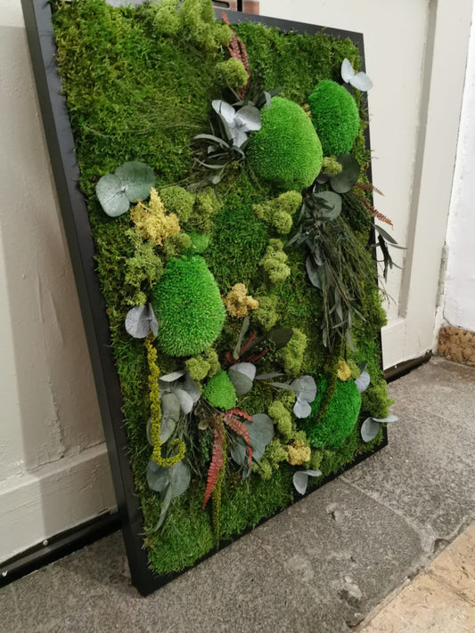Nature Forest
