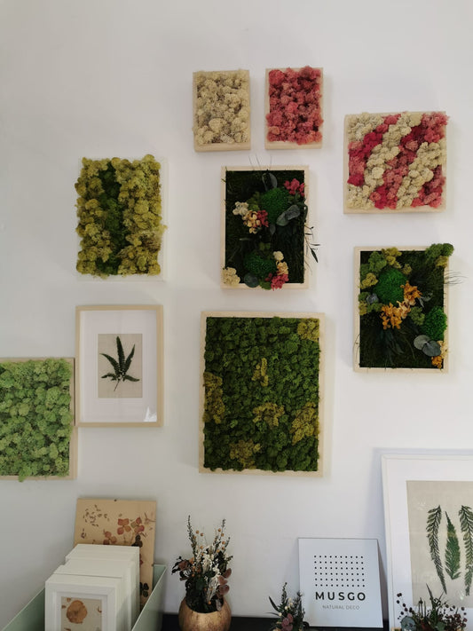 Nature Lichens