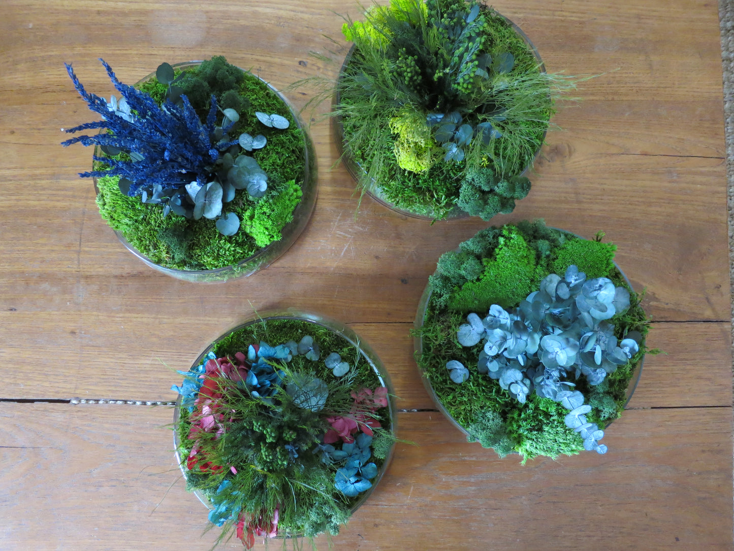 Taller Centro Nature.    24 Enero