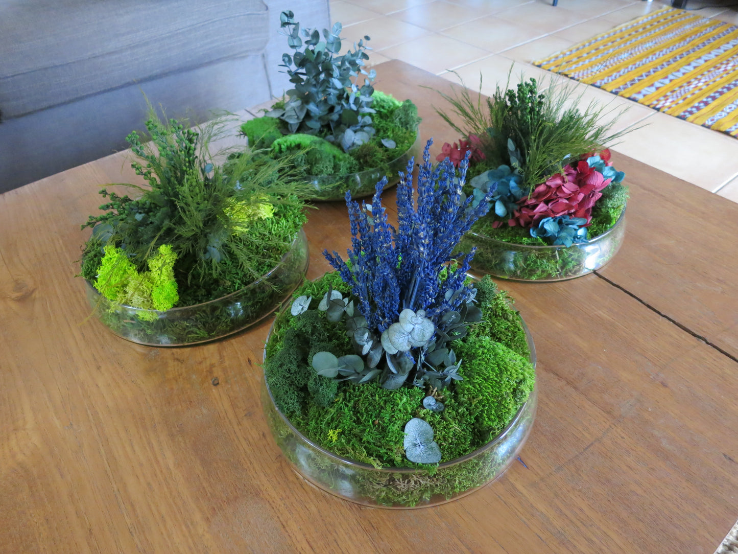 Taller Centro Nature.    24 Enero