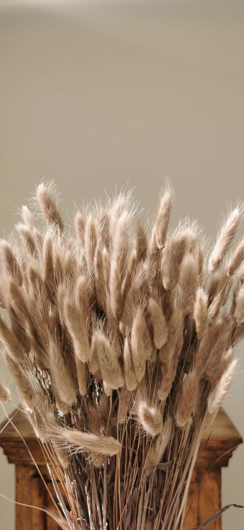 Sprigs of Moss