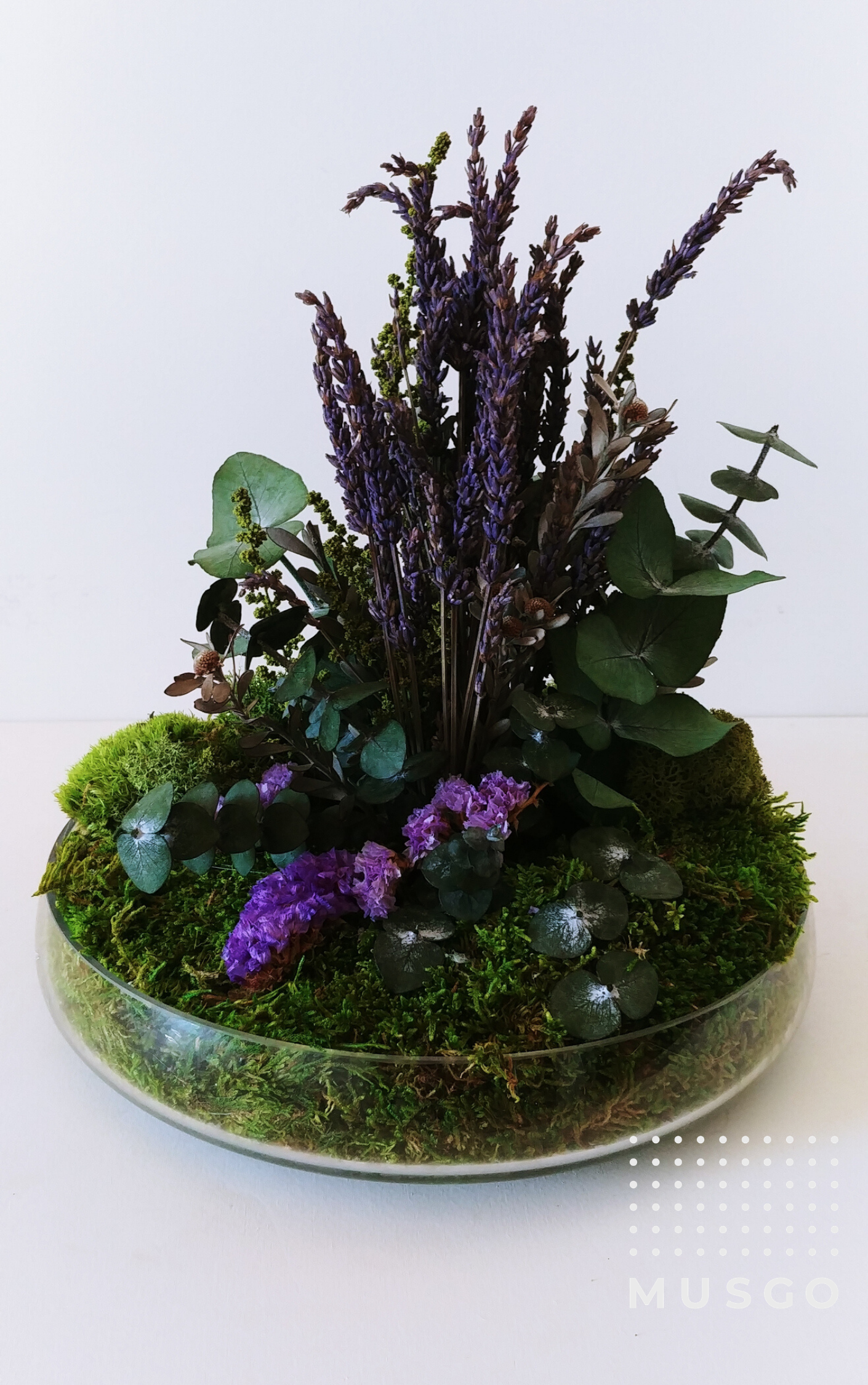 Taller Centro Nature.    24 Enero