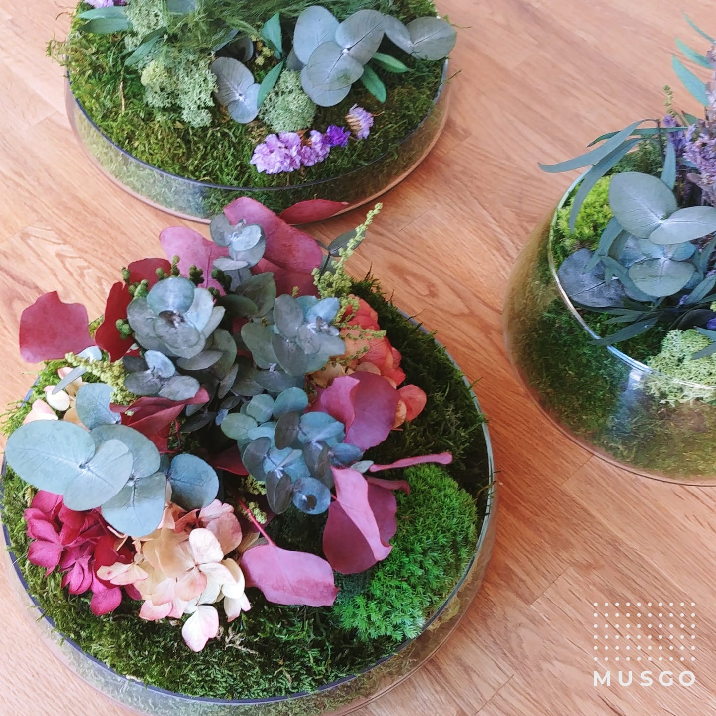 Taller Centro Nature.    24 Enero