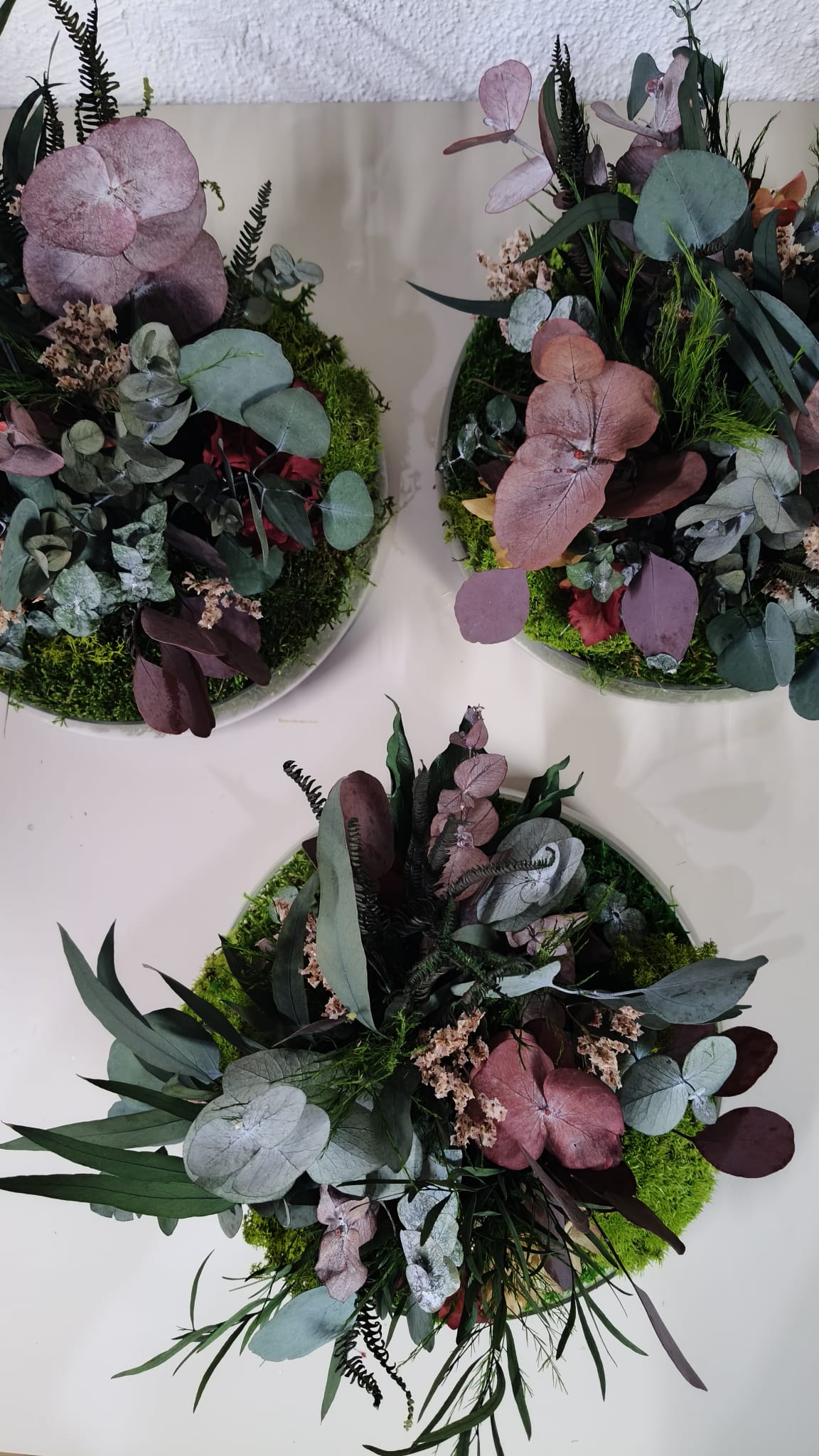 Taller Centro Nature.    24 Enero