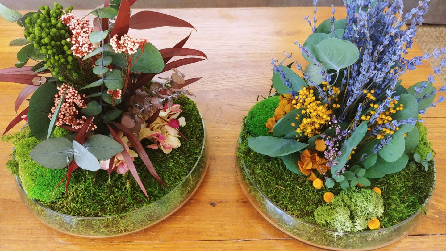 Taller Centro Nature.    24 Enero