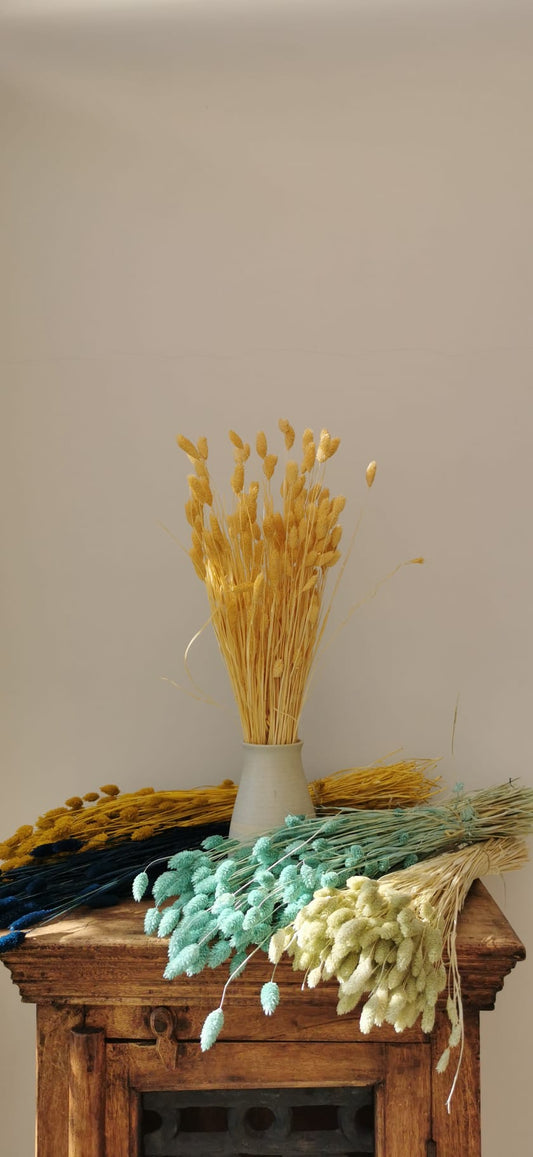 Sprigs of Moss