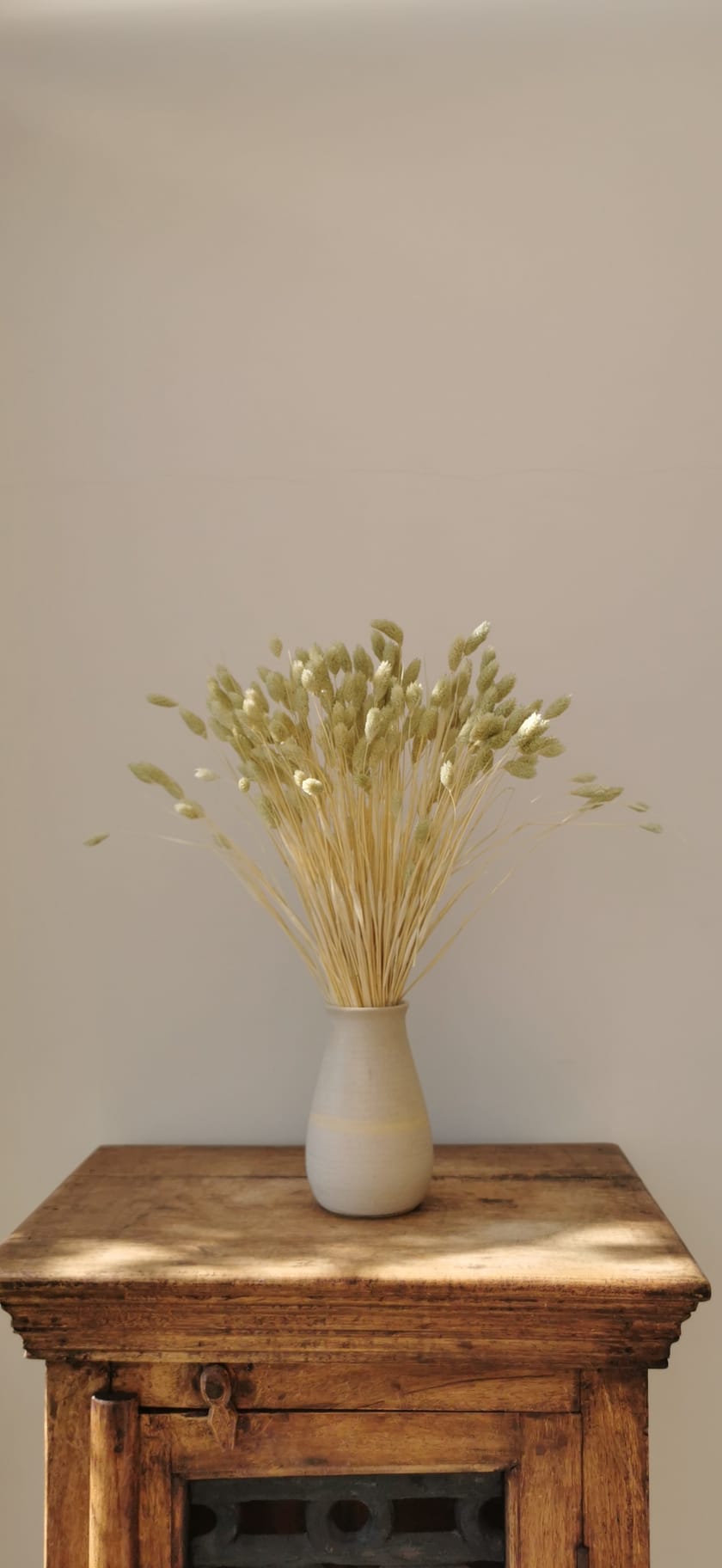 Sprigs of Moss