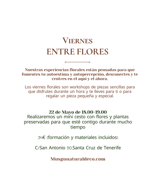 Viernes Floral. Mini Cesto de Flores preservadas   22 Mayo 2026