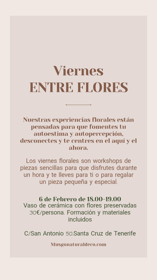 Viernes Floral. Flores preservadas en vaso de cerámica   6 FEB