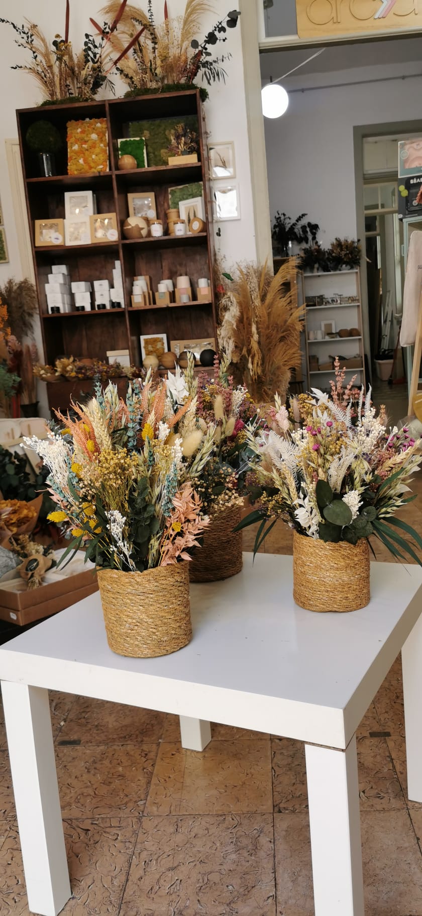 Wild Baskets